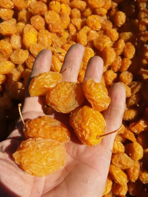 تصویر 3 از آلو بخارا زرد با عطر مطبوع و طعم ملایم